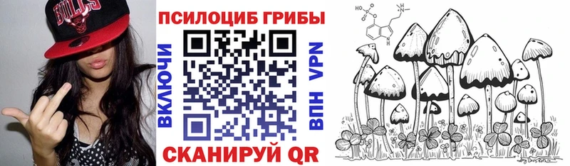 Галлюциногенные грибы Cubensis  купить   Злынка 